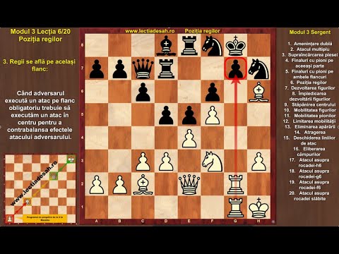 Lecția de Șah: Poziția Regilor
