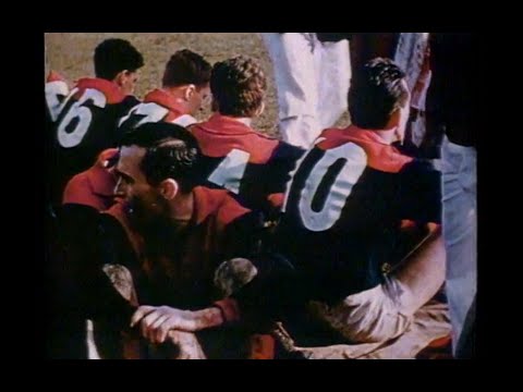 Red & Blue - The History of the Melbourne Football Club - 1939 to 2005 - VFL AFL