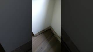 Album cover: Athena Flooring Special Cuts 