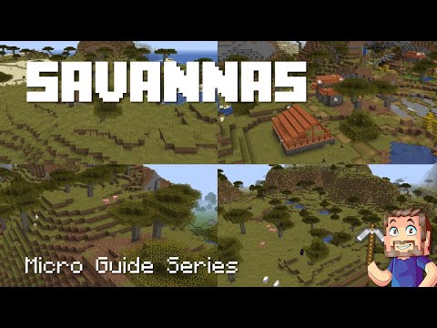 Savanna Biomes - Minecraft Micro Guide