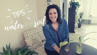 Transferring Water Propagations to Soil | Tips and Talk