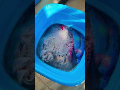 Latest Mini Washing Machine Portable Folding 2kg