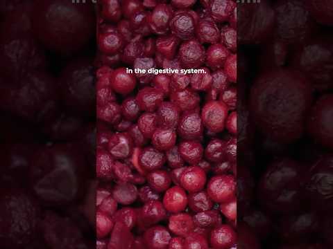 What is Berberine? | PureHealth Research