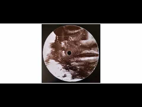 Shanti D - Can't Understand / Lion's Claw - 12" - Wise  Dubwise Recordings