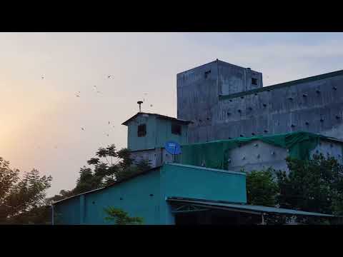 Teset âm thanh tại Hưng Thịnh - Trảng Bom - Đồng Nai