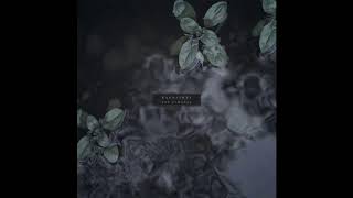 Kardashev - Beside Cliffs And Chasms (2017)