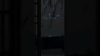 Download lagu Tabaah ho gaye Song status by Shreya Ghoshal mp3