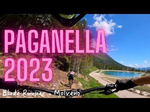 PAGANELLA BIKE PARK, CHE SPETTACOLO!! MOLVENO, ANDALO, FAI ZONE