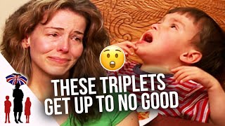 Crazy triplets are leaving mom in shambles! 😱