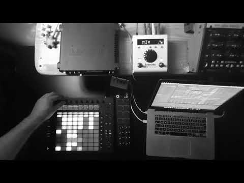 Internal Observer x Snatchers (Live)