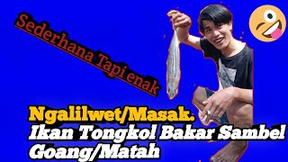 Download lagu Petualangan anak cipongpok ke desa Cumangala. mp3 Download lagu Petualangan anak cipongpok ke desa Cumangala. mp3