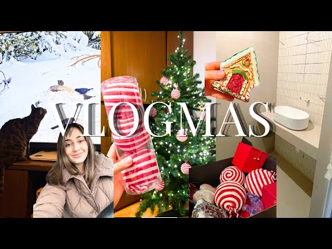 first stage of renovation completed | my philosophy of life, food haul and decorating the Christm...