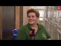 Drenthe Nu 10 juni 2020