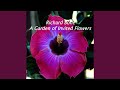Pixan - Richard Bone - Topic Pixan