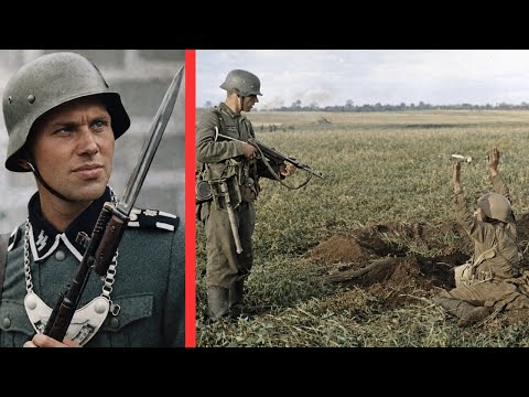 The Dark Reason The SS HATED The German Army