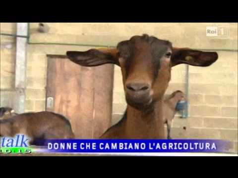 Il Caseificio di Paglia di Valeria Ciglia