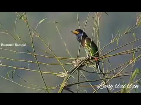 March thla chuah cun