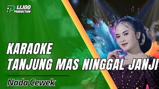 Download lagu KARAOKE TANJUNG MAS NINGGAL JANJI - DANGDUT SLOW || IJJOO PRODUCTION mp3