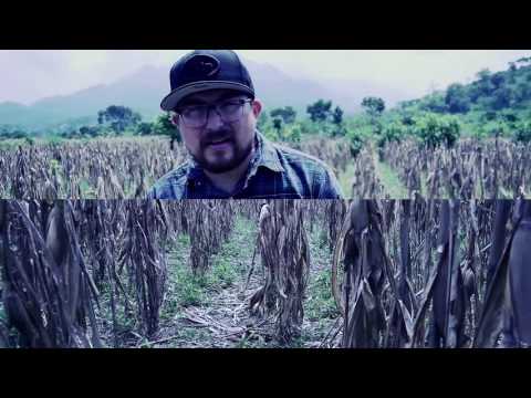 Logan Hate - Los Peces Gordos Nadan en Agua Bendita