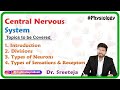 Central Nervous System Introduction Divisions Types Of Neurons Types Of Sensations And Receptors