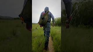 Scientific Anglers Muškařská šňůra Magnitude Infinity Buckskin/Clear Head