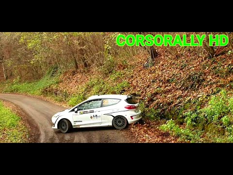 30° Rally Città di Schio 2021 Show and Mistakes