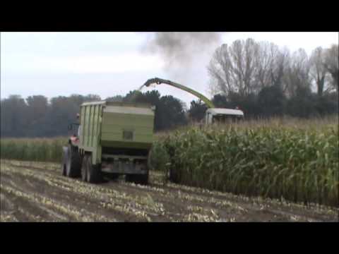 Loonw Dehenau - Steenhuize-Wijnhuize