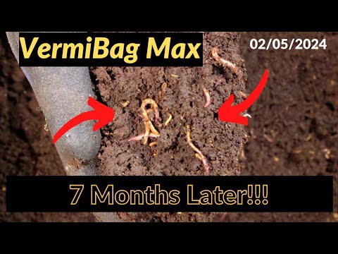 Vermibag Max -  7 Months Later!!! 02/05/2024