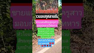 Download lagu #remix #dj #edm #music #sound #automobile #travel #colonelkkjϟ #farmlife mp3