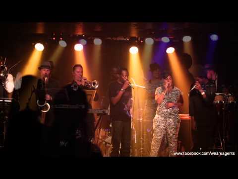 We Are Agents feat.  the Special Task Force LIVE 2013 - part 1
