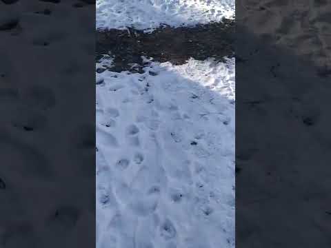 Шевроле Вольт 2014 начал ездить на обогрев салона