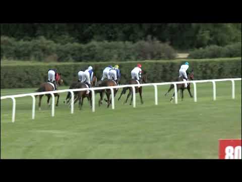 Lósport: 2020 Derby futamai a Kincsem Parkból