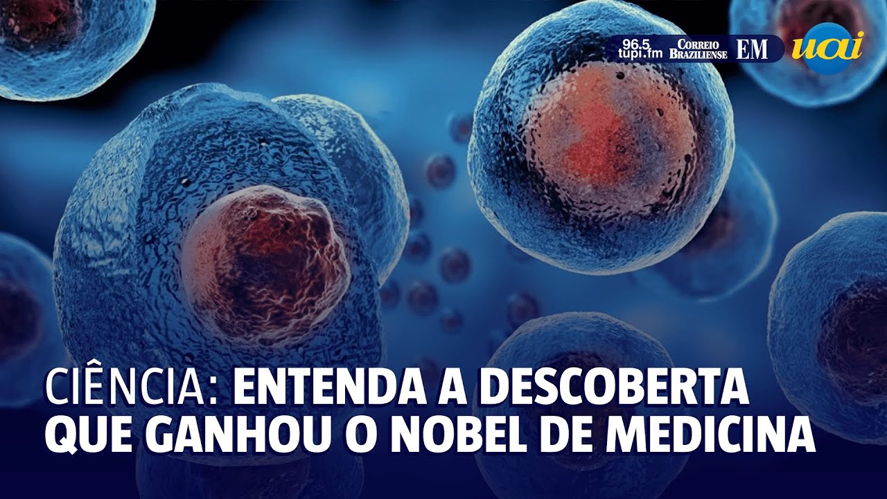 Ciência: entenda a descoberta que ganhou o Nobel de medicina