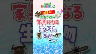【あつ森】おしゃれな家具に変身する生き物 5選【あつ森】 #裏ワザ #あつまれどうぶつの森