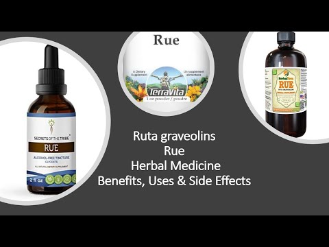 Rue   Ruta graveolins   Herbal Medicine   Benefits, Uses & Side Effects