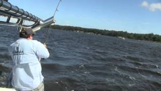 Bull 35-pound Redfish, Catch & Release