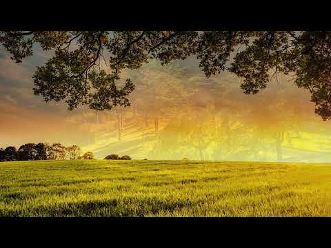 Puiu Chibici si Dorin Cazacu - Stau si astept in rugaciune