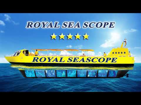 Seascope Hurghada   Trip  Program  - Egypt Sun Marine