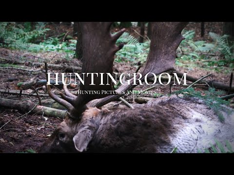 Damhirschbrunft bei den Hunter Brothers