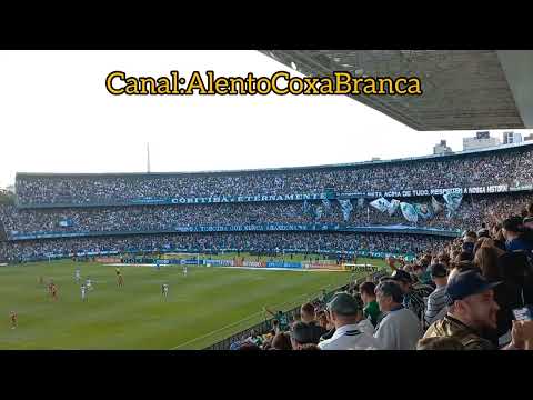 Coritiba 1 x 0 Flamengo - Gol e explosão do Couto Pereira