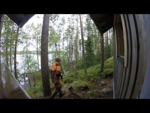 Myrskypuun poistoa katon päältä kesällä 2016