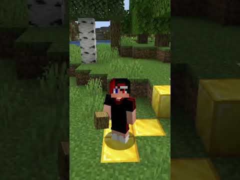 IgnRels Shorts - Minecraft But Every Block I Stepped On Turned To Gold #shorts