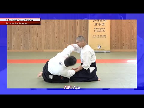 The World's First AIKI Course to Learn AIKI by a Combination of Articles and Videos! AIKI Web Course