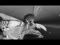 Gummibär Brazilian Election Jingle In G Major 67