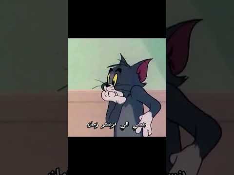 توم وجيري مرة في جمعتنا 😂😂🙂