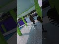 25 December 2021 Pool Rave