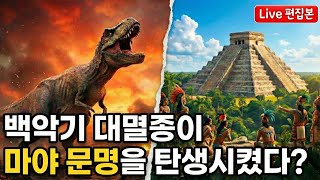 백악기 대멸종은 어떻게 마야 문명을 탄생시켰을까?｜나비효과 미쳤다..ㄷㄷ