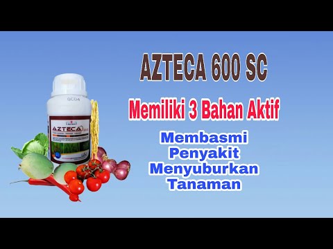Fungisida Azteca 600sc memiliki tiga bahan aktif