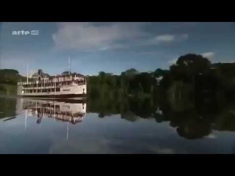 Nachts Tiere in Amazonas Wäldern [Doku deutsch]