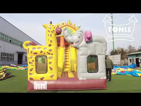 Tonle inflatbles Zoo Park Dual Dry Slide!